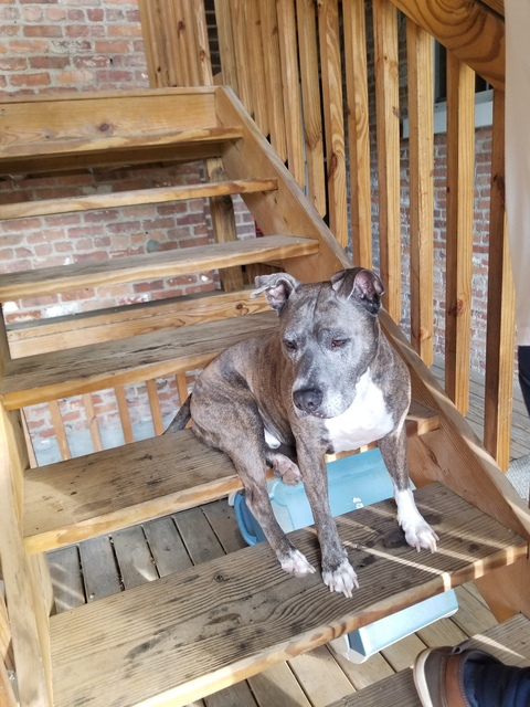 Johnson @a.johnson cover picture