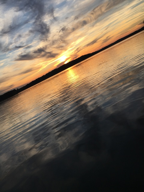 Abbi Camdyn @abbiiicamm90 cover picture