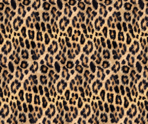 Sleepy Anna @abrc111 cover picture