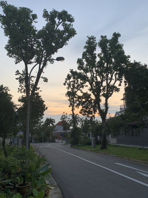 Merwin @aetherule cover picture