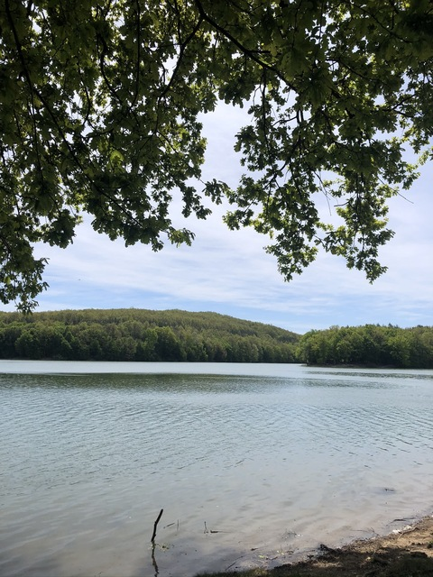 Agika @agika cover picture