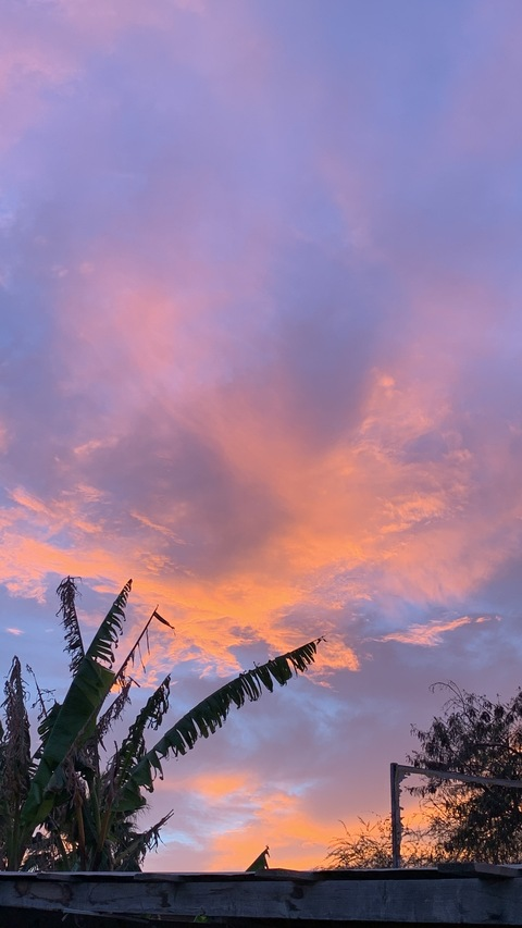 Gaunaaaaaa @agr98 cover picture