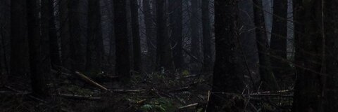 Alan Bernardo @alanbs cover picture