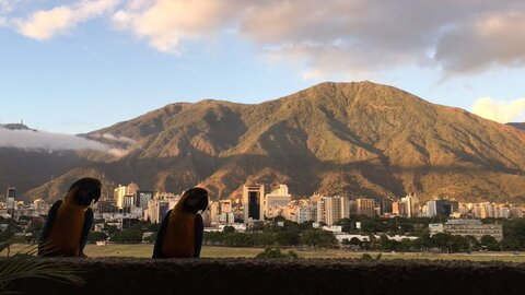 Alanis Marrero @alaniss cover picture