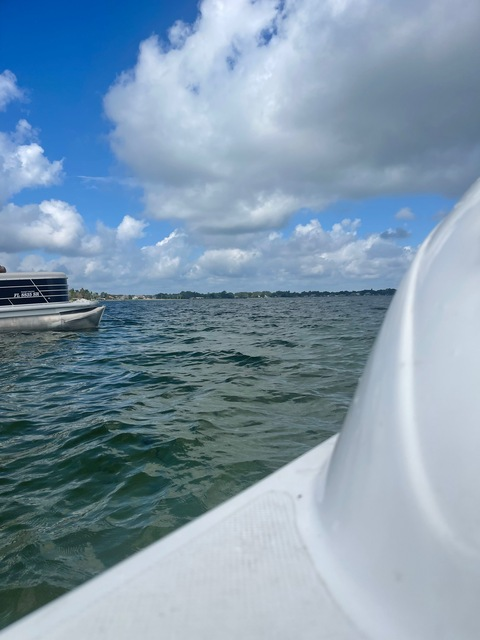 Bigpappa123 @alax123 cover picture