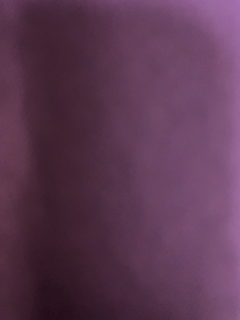 Aleece @aleecexoxoxo cover picture