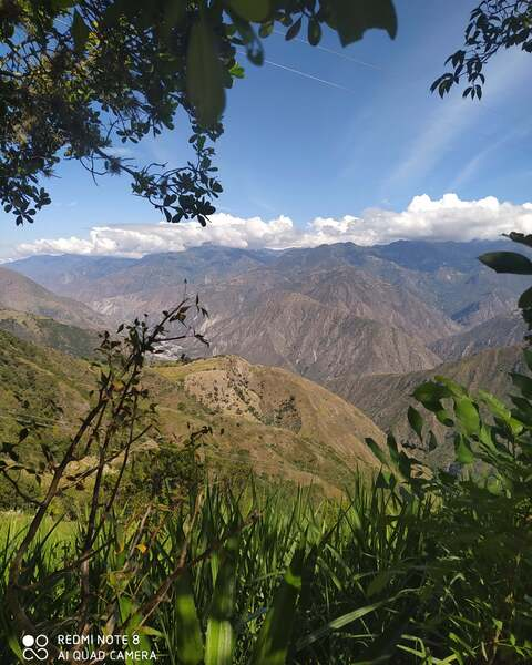 Aleja ruiz @aleja_love cover picture