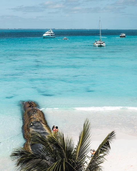 Serrato @alek_serrato cover picture