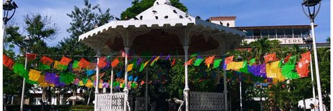 Alexa Martin @alexa_rae cover picture