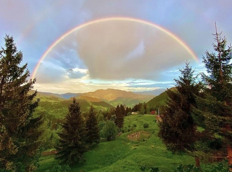 Alexandra Stan @alexandrastan cover picture