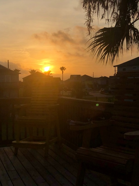 Alexis Rose @alexis.rose24 cover picture