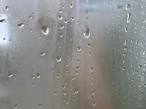 Alexis 🪸 @alexishaze18 cover picture