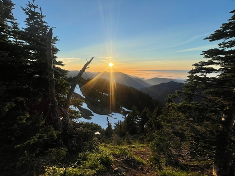 Alex Jessey @alexjessey cover picture