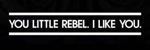 alexdatruck @alexlaid cover picture