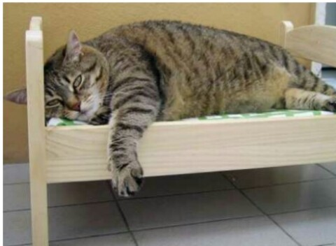 AlexMoore @alexmoore cover picture