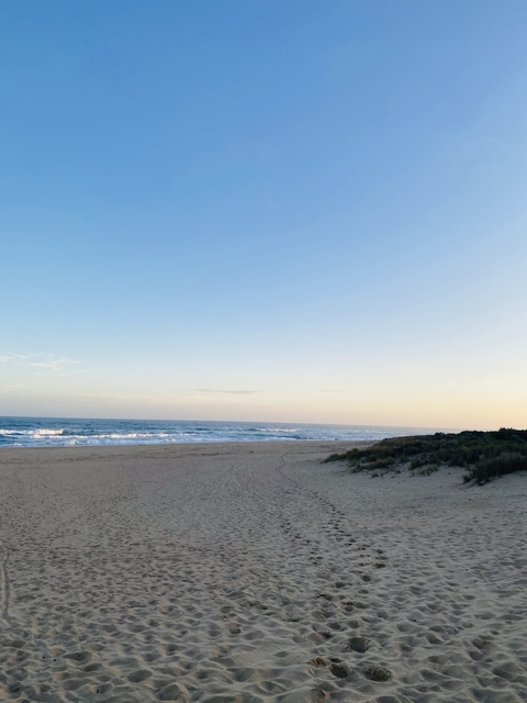 Alex Smith @alexsmith20011 cover picture