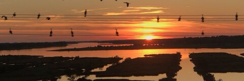 Alex @alexzane69 cover picture