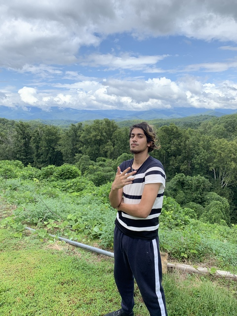 Ali @alibby cover picture