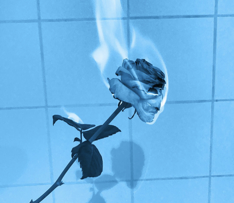 Alicia @alicat33 cover picture