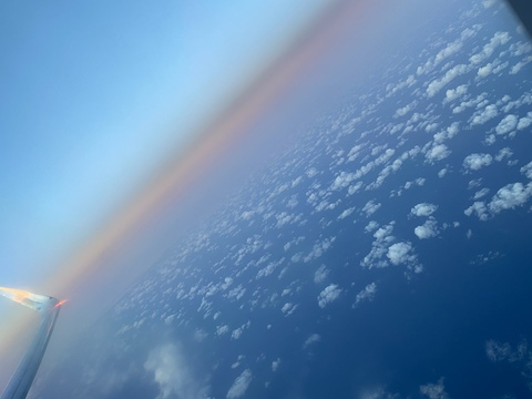 Alicia @alicia26x cover picture