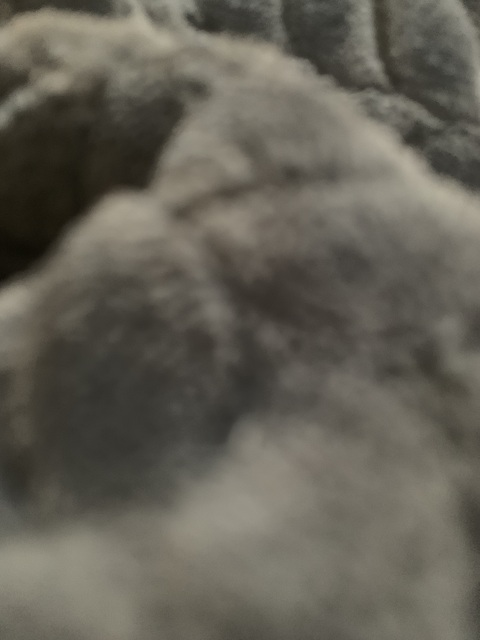 Lynn @alkibeach87 cover picture