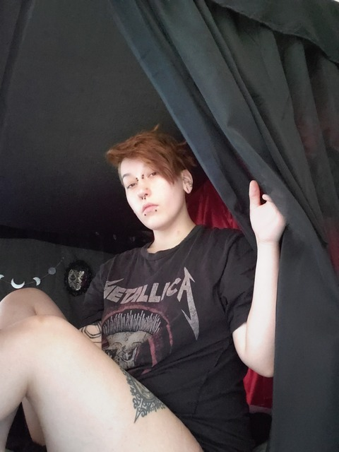 Alli cat @alli_cat cover picture