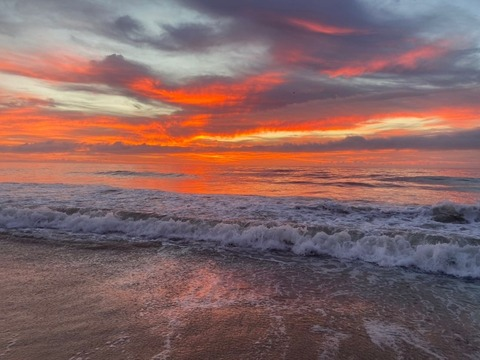 Ally @allyboballie cover picture