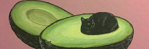 allison langhans @allylanghans cover picture