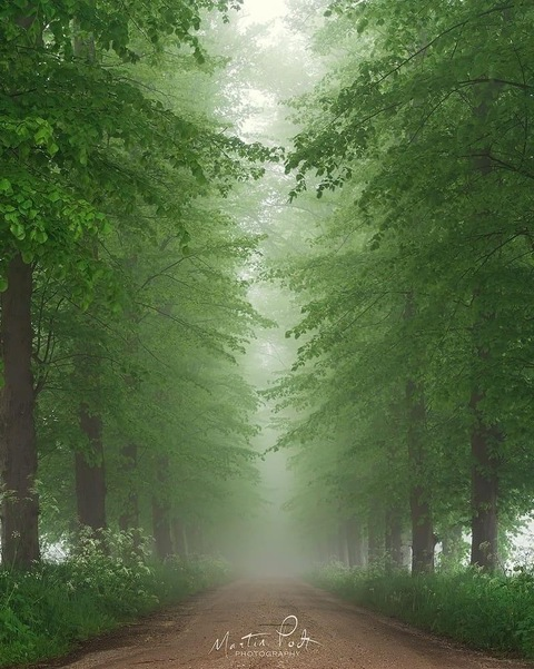 Alpine @alpinewarrior cover picture