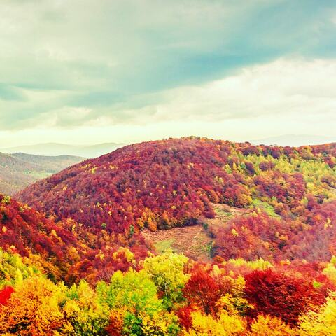 Aly @alyria cover picture