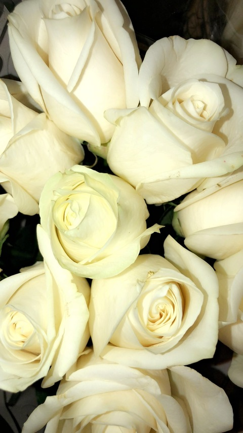 Amara A. @amarasweetmara cover picture