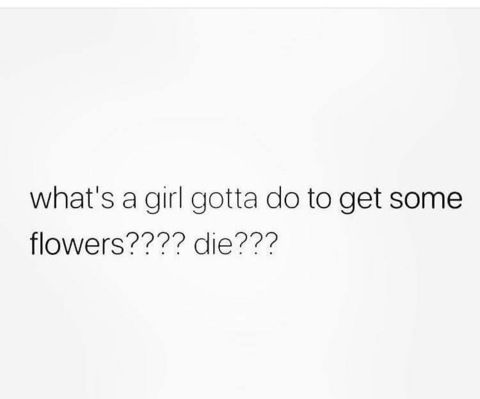 Amber Babe @amber_babe cover picture