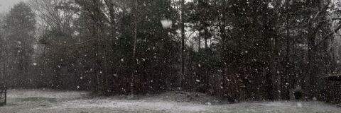 amber @ambybaby69 cover picture