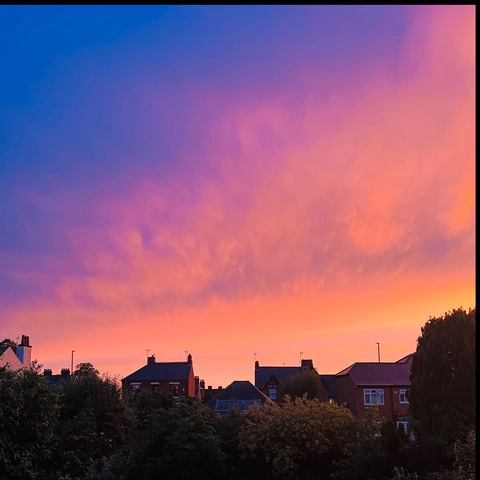 Amelia @amelia18 cover picture