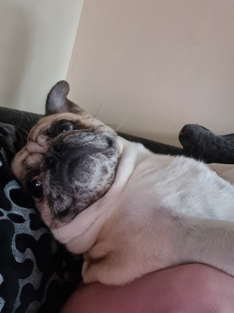 u8554439 @ameliajane cover picture