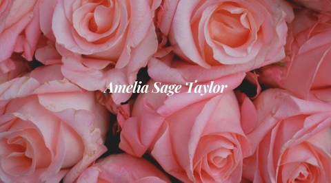 Amelia Sage @ameliasage cover picture