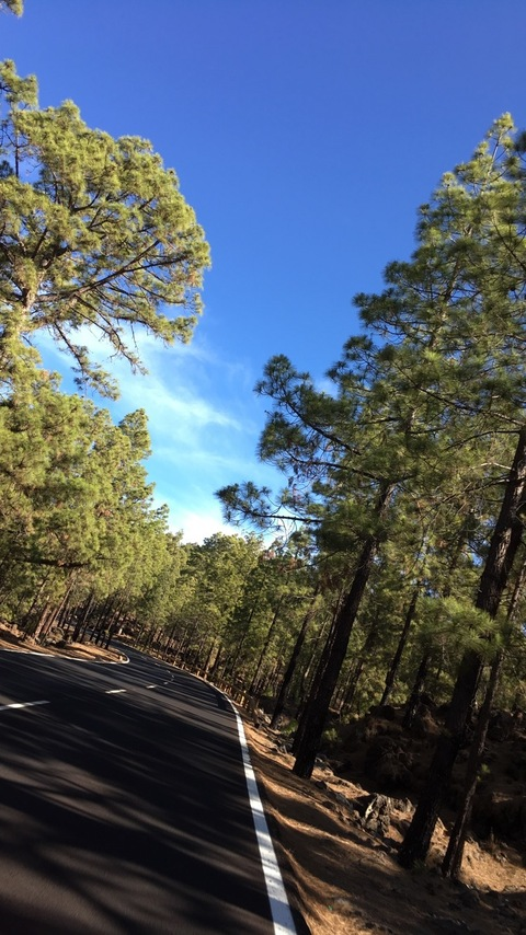 Amelie @amelie7 cover picture