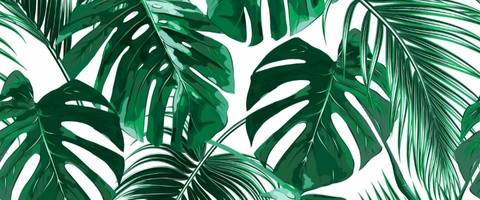 Anabeth K @anabethk cover picture