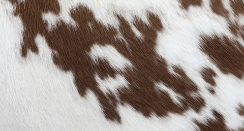 Anastasia @anastasiadaisy cover picture