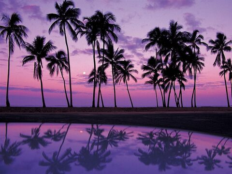 Andrea Ramos @andrearamos cover picture