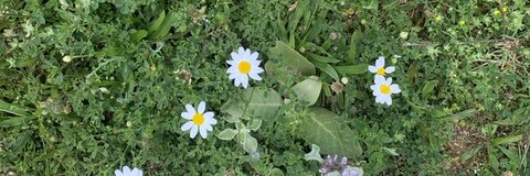 andyjazba @andyjazba cover picture