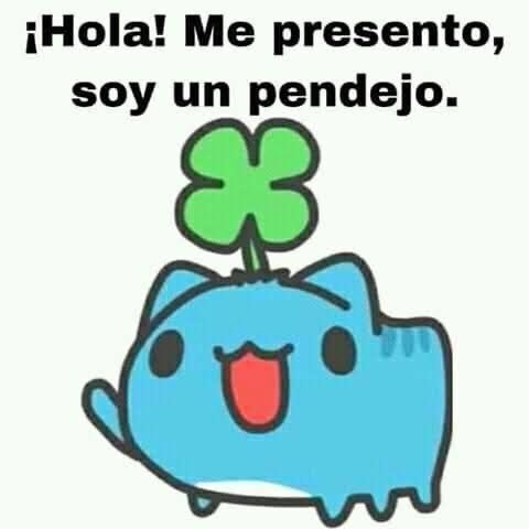 Andy @andywilck cover picture