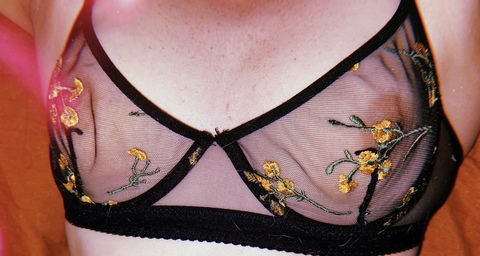 angel @angel_in_ak cover picture