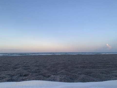 Cami @angelcami cover picture