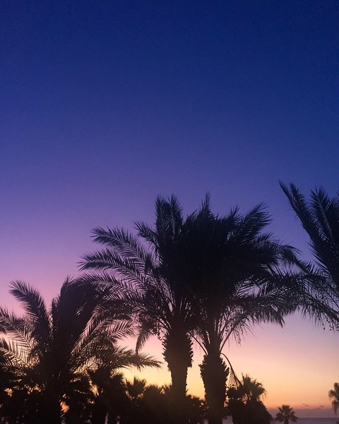 Claudia R @angelicwhore cover picture