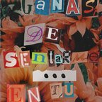 angelnicol Profile Picture