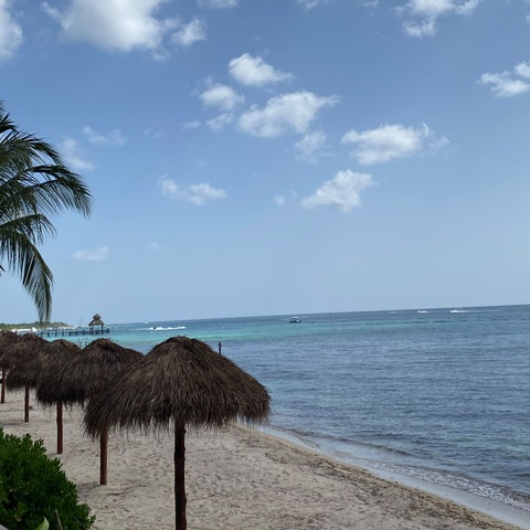 Angel Pear @angelpear cover picture