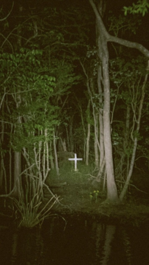 angie @angiebaby cover picture