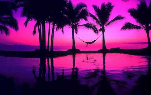 angiegiga @angiegiga cover picture