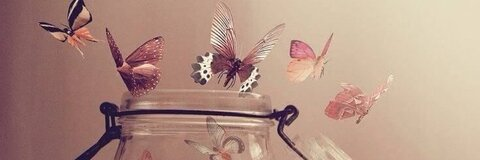 ᴬᶰⁱᶰᵃ @anina cover picture